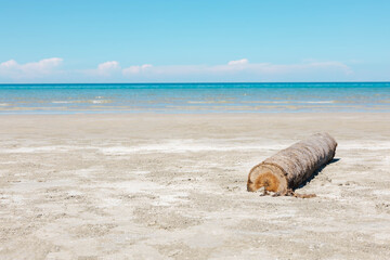 A serene coastal scene featuring a weathered log resting on golden sands with the oceans shimmering waves and a clear blue sky creating a tranquil atmosphere of natural beauty