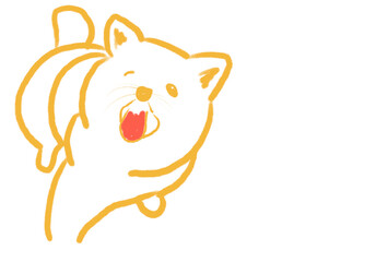 My cute puppy, Chunbok