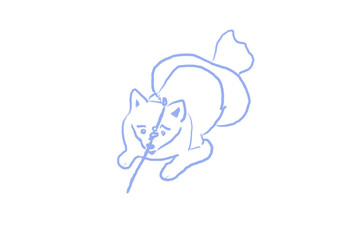 My cute puppy, Chunbok