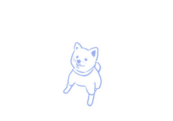 My cute puppy, Chunbok