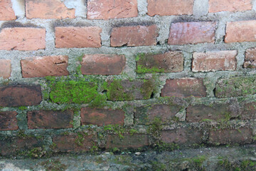 Close up of mossy brick house wall texture