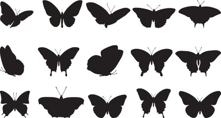 Butterfly Silhouette Variety Pack

