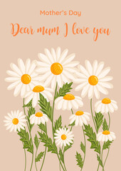 Mother's day greeting card. Several chamomile flowers grow. Botanical vector isolated illustration for postcard, poster, invitation, ad, decor, fabric and other uses. Festive text can be replaced.