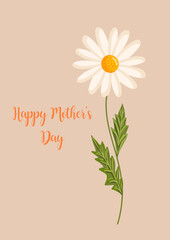 Mother's day greeting card. Chamomile flower. Botanical vector isolated illustration for postcard, poster, ad, decor, fabric and other uses.