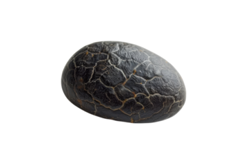 A uniquely textured black stone with intricate patterns resting on a light surface in natural light isolated on transparent background
