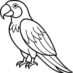 Stylized Macaw Outline Art