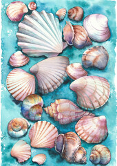 Sea shells on blue turquoise background. Hand painted watercolor illustration.