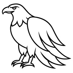 eagle vector illustration