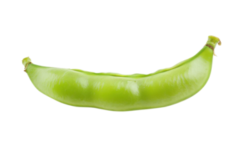 Lush green pod resting on a white surface showcasing its vibrant color and natural form isolated on transparent background