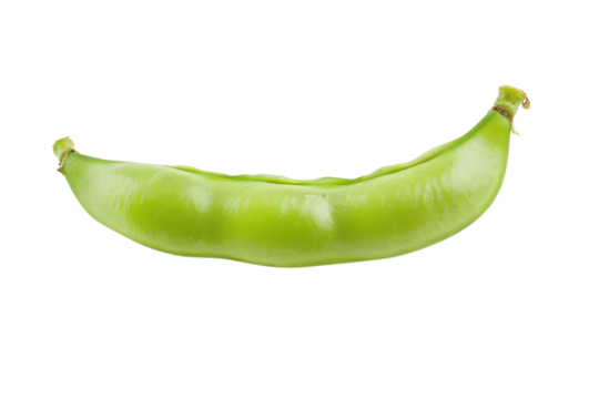 Lush green pod resting on a white surface showcasing its vibrant color and natural form isolated on transparent background
