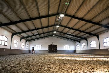 Capture of an unknown riding woman  riding a horse in a beautiful riding hall in natural lights. ...
