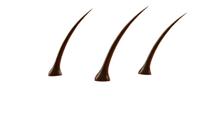 Isolated Human Hairs