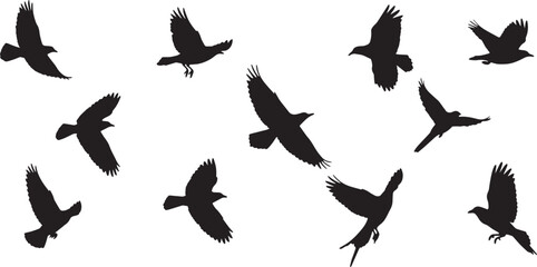 Fototapeta premium Flying Bird Silhouettes – Crows and Ravens in Motion, Minimalist Black and White Art
