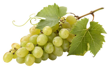 A luscious bunch of green grapes, freshly picked from the vine, glistening with morning dew,...