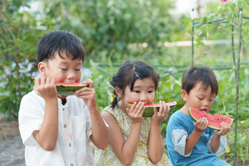 夏休みにスイカを食べる子供たち