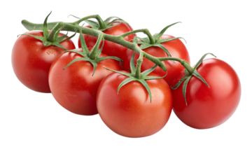 A vibrant cluster of ripe red tomatoes still on the vine, showcasing their juicy freshness and natural beauty against a clean white background.