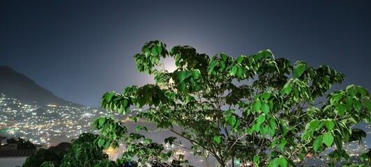 Beauty landscape with mountains and trees