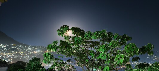 night landscape with moon and clouds
