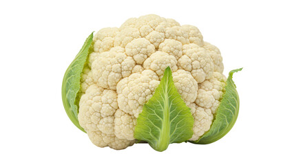 Isolated Fresh Cauliflower