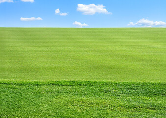 Obraz premium green grass field and blue sky, possible space for your text