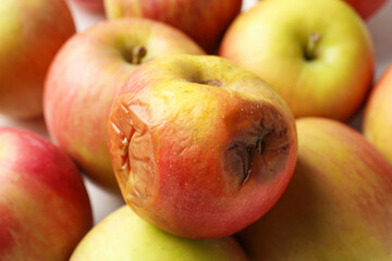 Rotten apple and fresh ones on white table, closeup