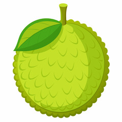 vector illustration of an Jackfruit