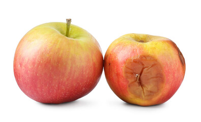 Rotten and fresh apples isolated on white