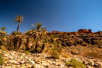 2024 03 16 Jebel Saghro Handour Valley river panorama 125