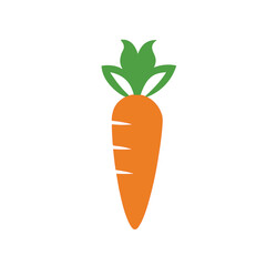 carrot vector illustration vector icon on white background.