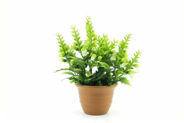 Lush green artificial plant in a rustic terracotta pot on a bright white background isolated on transparent background