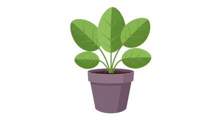 Isolated Potted Plant