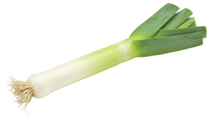 Isolated Fresh Leek