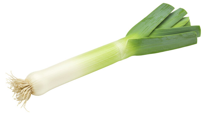 Leek Images – Browse 206,201 Stock Photos, Vectors, and Video