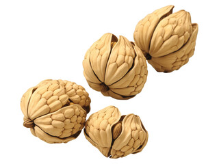 Fototapeta premium Tiger Nuts (Cyperus esculentus) Small, wrinkled tiger nuts with a chewy texture and sweet, nutty taste, used in traditional drinks