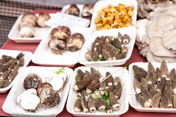 Exhibition of fresh mushrooms in a village market in Catalonia.