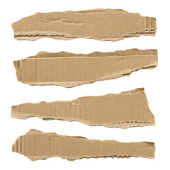 Collection of torn cardboard png cutout isolate transparent background