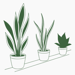 Modern Botanical Illustration with Houseplants 