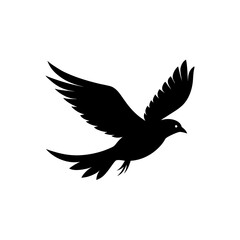 pigeon silhouette isolated on white