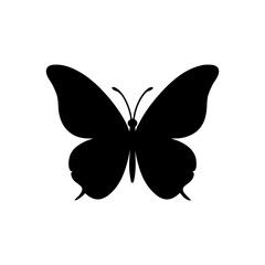 butterfly on white background