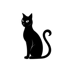 black cat on white background