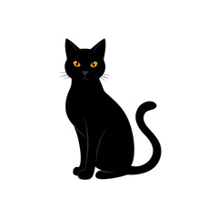 black cat on white background