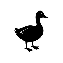 duck vector illustration