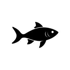 fish isolated on white background