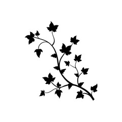 silhouette of a branch of a tree