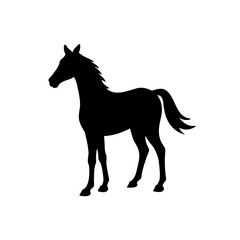 horse silhouette isolated on white