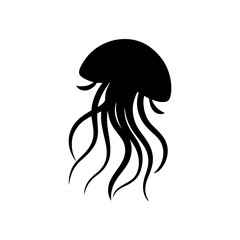 silhouette of a girl with a horse