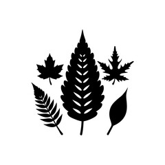 set of leaves silhouettes