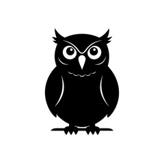 two owls on a white background