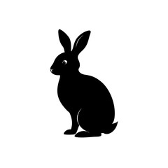 white rabbit isolated on white