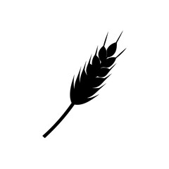 wheat isolated on white background